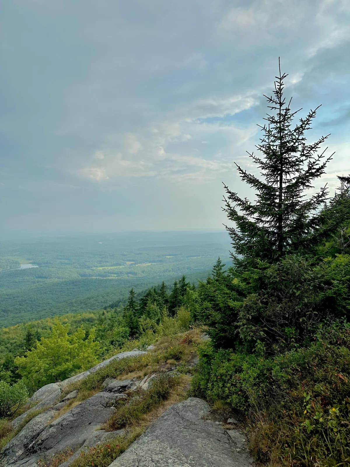 View from a rocky summit over a forested valley under a hazy evening sky