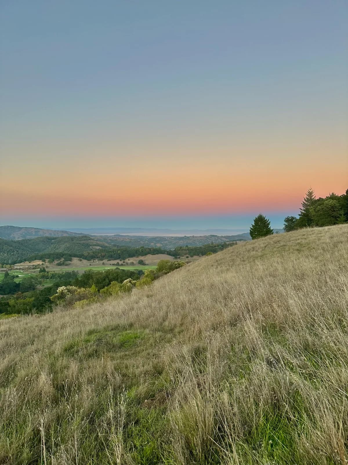 Golden grassy hillside at dusk beneath a pink and orange gradient sky