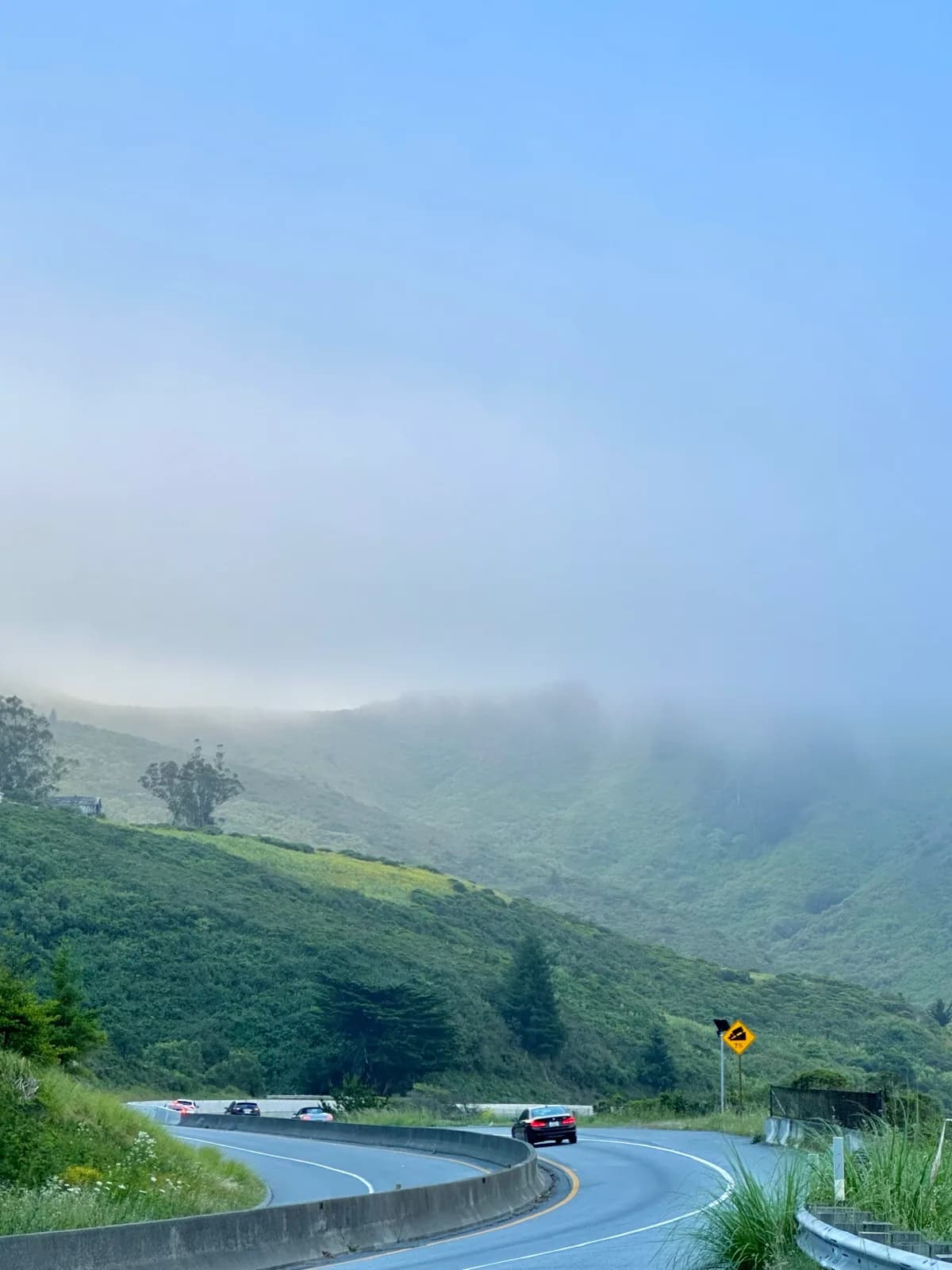 Highway curving through green coastal hills shrouded in fog