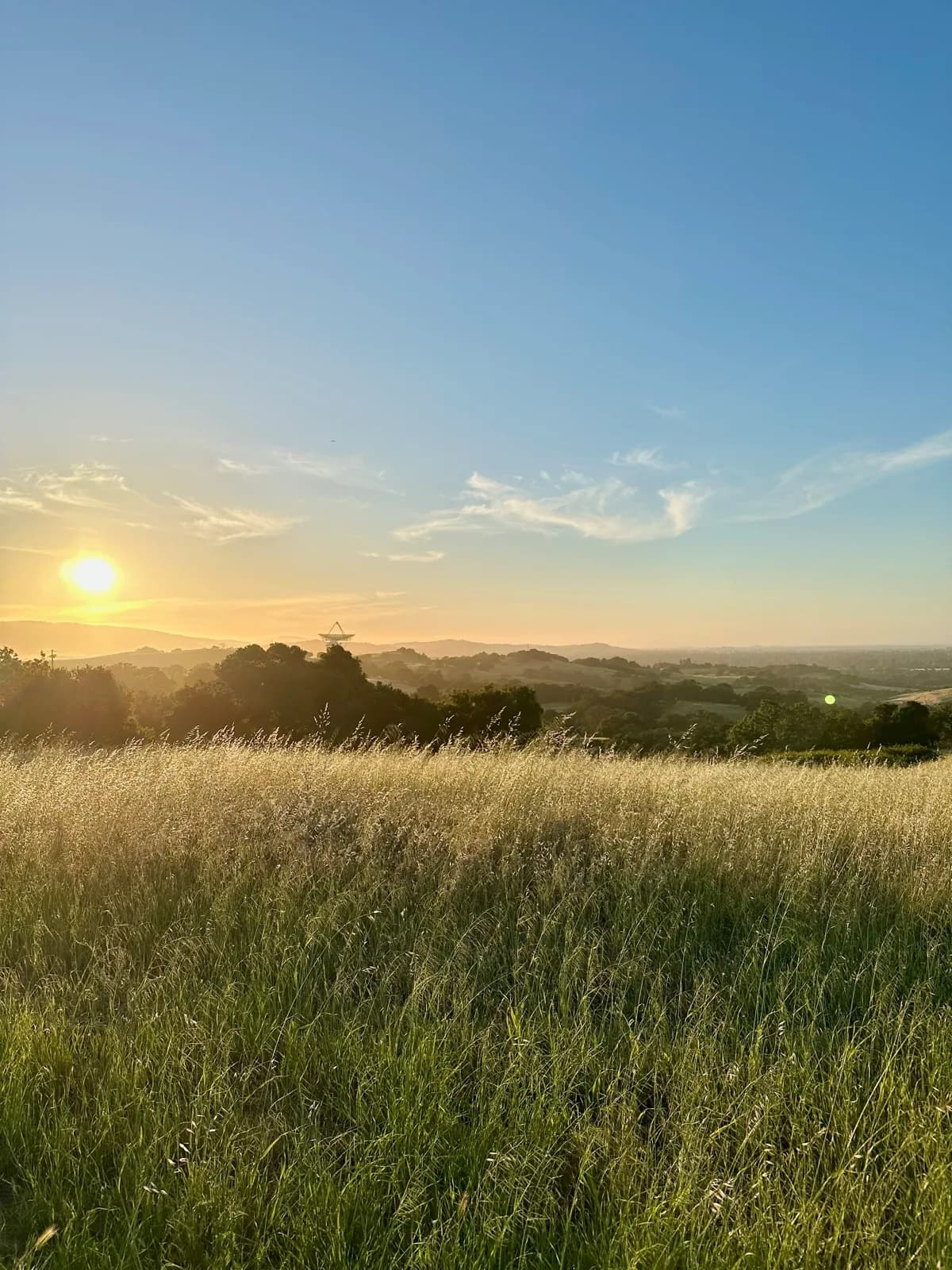 Sun setting over hazy hills beyond a sunlit grassy meadow